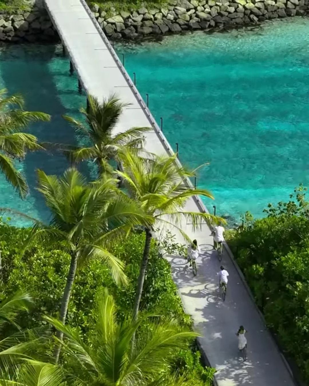 A boardwalk winding through palms beside a Maldives lagoon